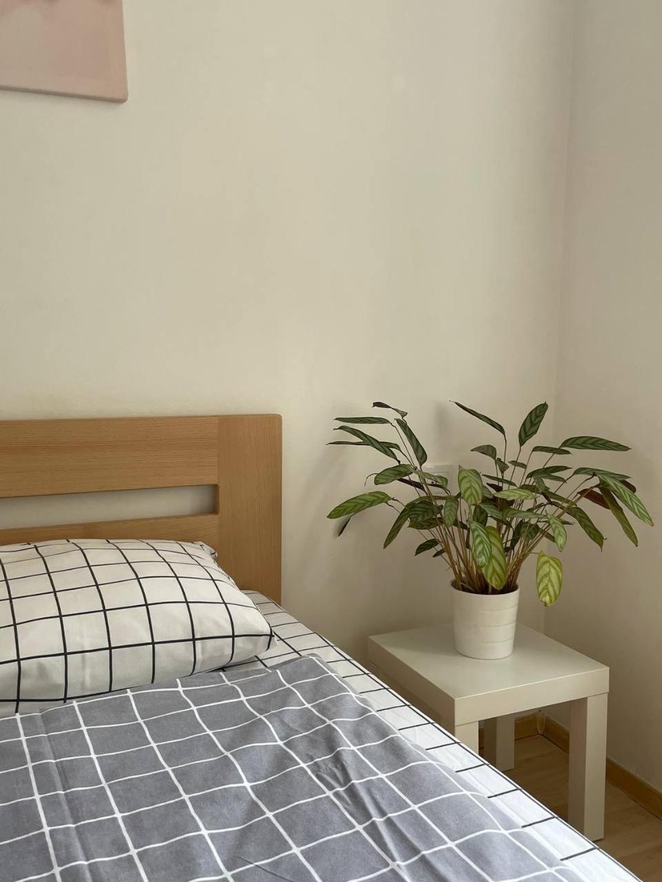 Apartaments Simsim Λβιβ Εξωτερικό φωτογραφία
